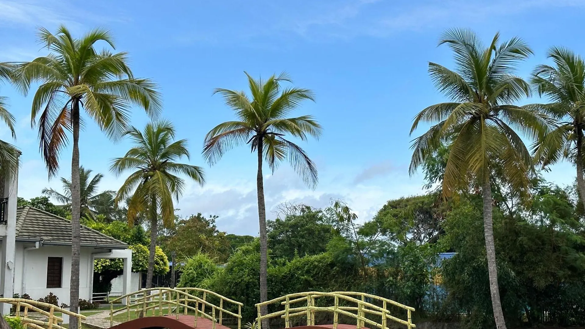 Amaluna Resorts Negombo